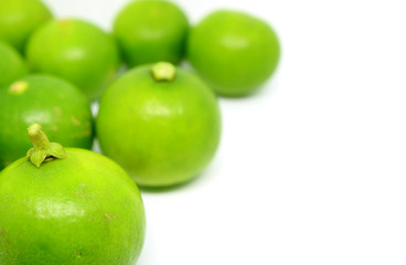 Closeup vibrant green limes on white background with copy space