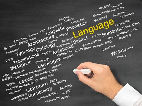 Language