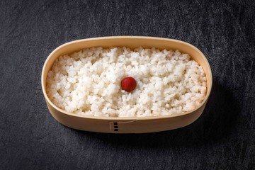 おべんとう　Japanese style famous lunch box (bento)