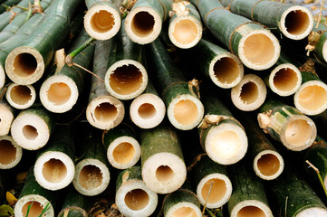 Bamboo holes
