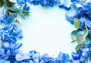 Blue hydrangea flowers