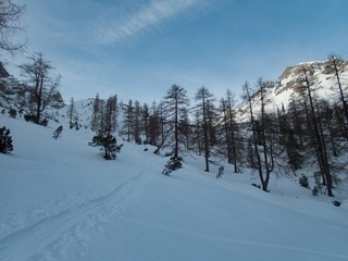 winter alpine landscape for skitouring in stubaier alps in austria