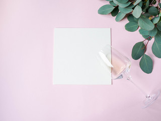 Minimal pink background composition flat lay - white square layout, eucalyptus and white wine glass. Copy space. Top view