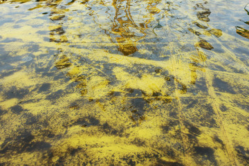 Abstract grunge yellow water effect backgrounds.