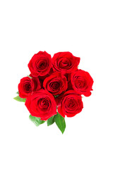 Rd roses isolated on white. Top view.