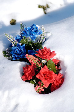 Blume