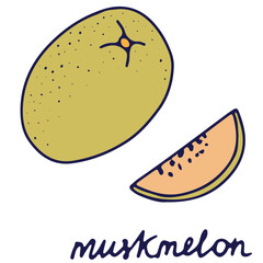 Hand drawn isolated traditional indian food icon. Color fill illustration of indian fruit. Musk melon. Melon