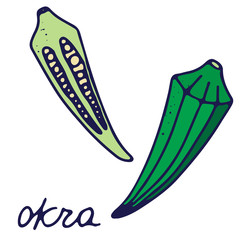 Hand drawn isolated traditional indian food icon. Color fill illustration of indian vegetable. Okra. 