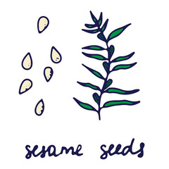 Hand drawn isolated indian food icon. Color fill illustration of indian spice. Sesame seeds icon