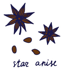 Obraz premium Hand drawn isolated indian food icon. Color fill illustration of indian spice. Star anise icon