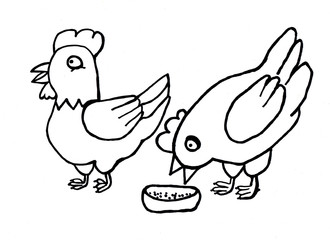 chicken drawing black marker outline