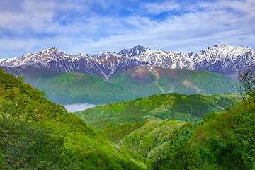 Fototapeta na wymiar 白沢峠から眺める北アルプスの山々、長野県北安曇郡白馬村にて