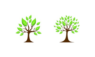 Obraz premium Tree simple illustration set template vector logo