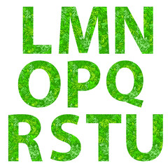 L M N O P Q R S T U alphabets applied with tree leaf pattern background vector