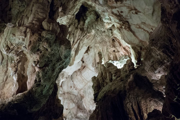 gruda de moeda in portufal close to fatima