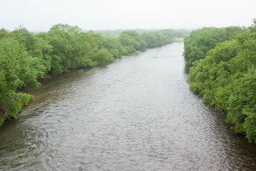 森の中を流れる大きな河川