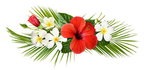 Red hibiscus and fragipani flowers with green tropical leaves in exotic arrangement