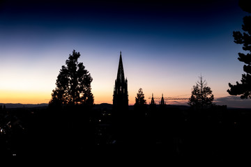 Naklejka premium Freiburger Münster