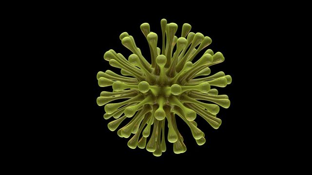 3D render of several viral bacteria on a black isolated background