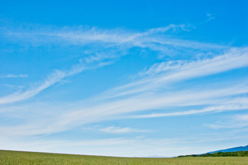 Obraz premium 青い空に浮かぶ雲の表情の風景