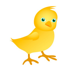 Chicken in cartoon style. Cute yellow chick. Applicable for Easter cards, children's books. Stock vector isolated image on a white background.