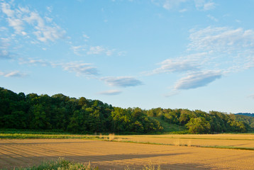 森と青空と農地