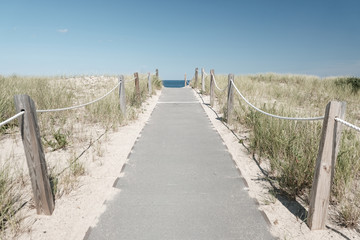 Fototapeta na wymiar Entrance to endless white and sandy beach on Cape Cod, Massachusetts, USA. You were offered relaxing walks between reed grass and the Atlantic Ocean on beautiful summer days.
