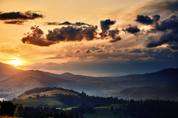 wildflowers, meadow and golden sunset in carpathian mountains - beautiful summer landscape, spruces on hills, dark cloudy sky and bright sunlight