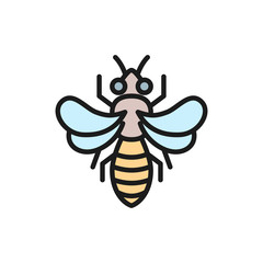 Honey bee, beekeeping flat color line icon.