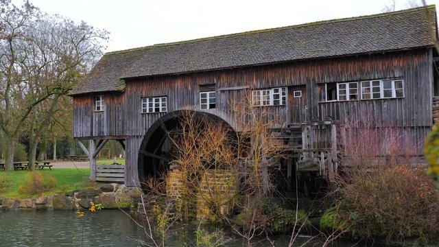 Viejo molino de agua para serrer&iacute;a junto a r&iacute;o aparece tras un arbol