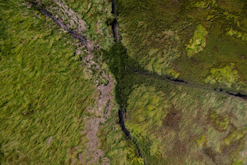 Aerial photography of Cape Cod`s awesome marshlands and pure wilderness. The picture shows green environment and an infinite diversity of the nature.