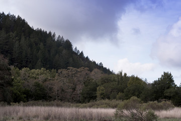 View of a mountain ridge with cloudy sky from a hiking trail in Sugarloaf Ridge State Park, Sonoma County, California..