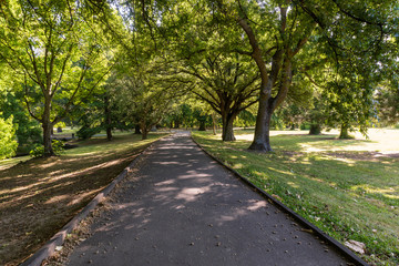 path in the park