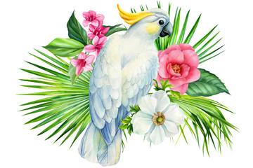 composition of tropical plants, flowers and parrot on an isolated white background, watercolor painting
