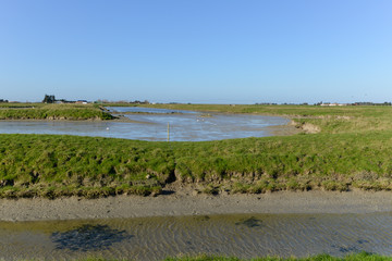 Marais breton vendéen, Pays de la Loire, 85, Vendée