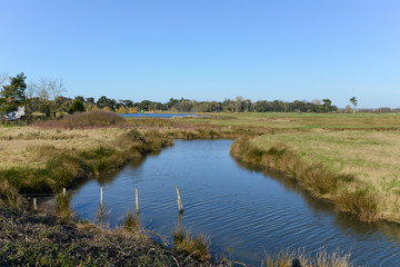 Marais breton vendéen, Pays de la Loire, 85, Vendée