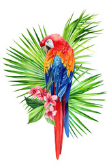 composition of tropical leaves, flowers and parrot on an isolated white background, watercolor painting