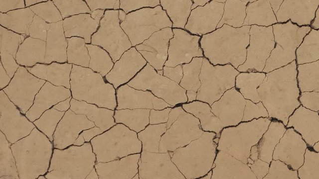 Natural Texture of Cracked Clay or Soil