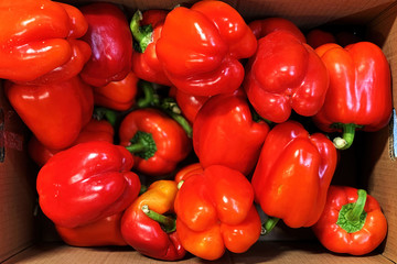 A box of red bell pepper on a greengrocery counter. Natural background texture