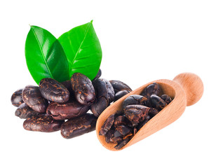 Cacao beans in wooden scoop with two leaves isolated on a white background.