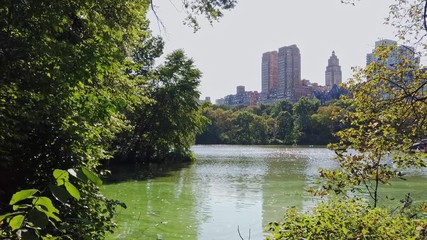 Central park lake view from the shore in New York