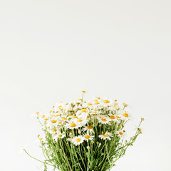 Chamomile daisy flowers bouquet on white background.