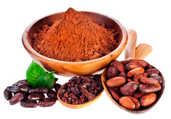 Cocoa powder in a wooden bowl, cacao nibs in a spoon and cacao beans with two leaves isolated on a white background.