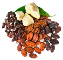 Cocoa butter, beans, powder and nibs with leaves isolated on a white background.