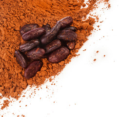 Cocoa beans and powder isolated on white background