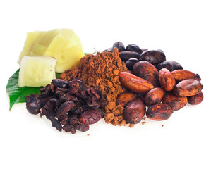 Cacao beans and powder, cocoa butter and cacao nibs isolated on a white background.