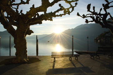 Bench on the Waterfront on an Alpine Lake with Bare Tree and Mountain in Sunset, Ascona, Switzerland.