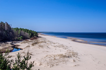 The White Dune and Baltic see at Saulkrasti in spring, Latvia. White sand beach near conifer trees forest in Baltic.