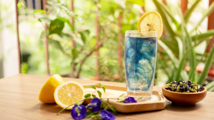 A glasses of Blue Butterfly pea flower juice drinking, decoreted with yellow lemon sliced and fresh and dry Asian pigeon wings flowers, on wooden table and green blurry background