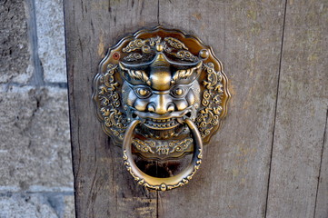 lion head door handler